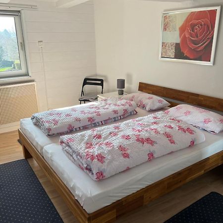 Gemuetliche Ferienwohnung Im Altbau Γκόσλαρ Εξωτερικό φωτογραφία